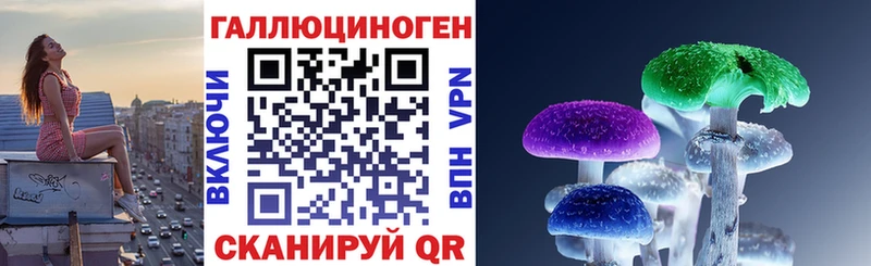Галлюциногенные грибы Psilocybe  Тюкалинск 
